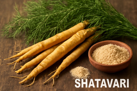 How Shatavari Transformed My Menstrual Health Journey