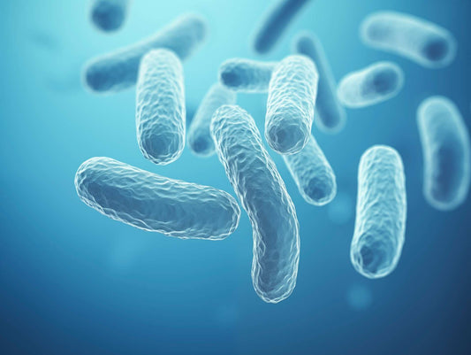 Close-up 3D illustration of probiotic bacteria in a blue background, representing beneficial gut microorganisms.