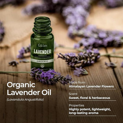 Gya Labs Organic Lavender Essential Oil for Diffuser - 100% Pure Natural Organic Lavender Oil for Hair & Skin, Aromatherapy Oil for Relaxation - Self Care (0.34 Fl Oz)