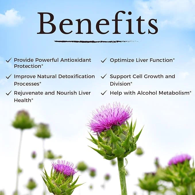 VITALITOWN Milk Thistle Complex 30X Extract 80% Silymarin 600 mg 60 Veggie