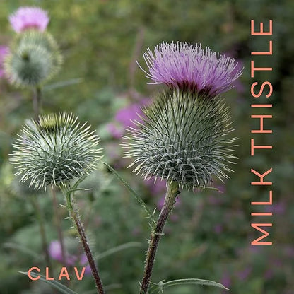 CLAV Organic Milk Thistle & Artichoke 120 Capsules (60 Days