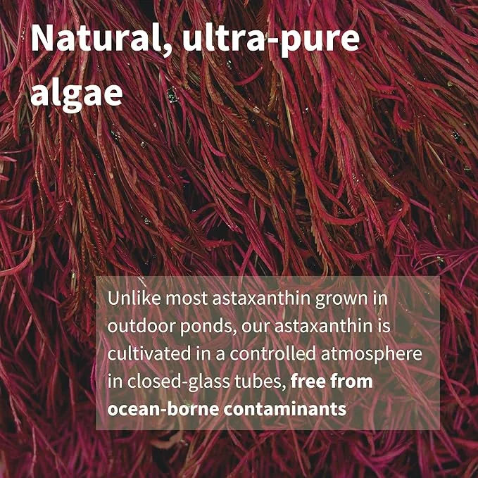Astaxanthin Complex with Lutein and Zeaxanthin, 42 mg 4mg Softgels,