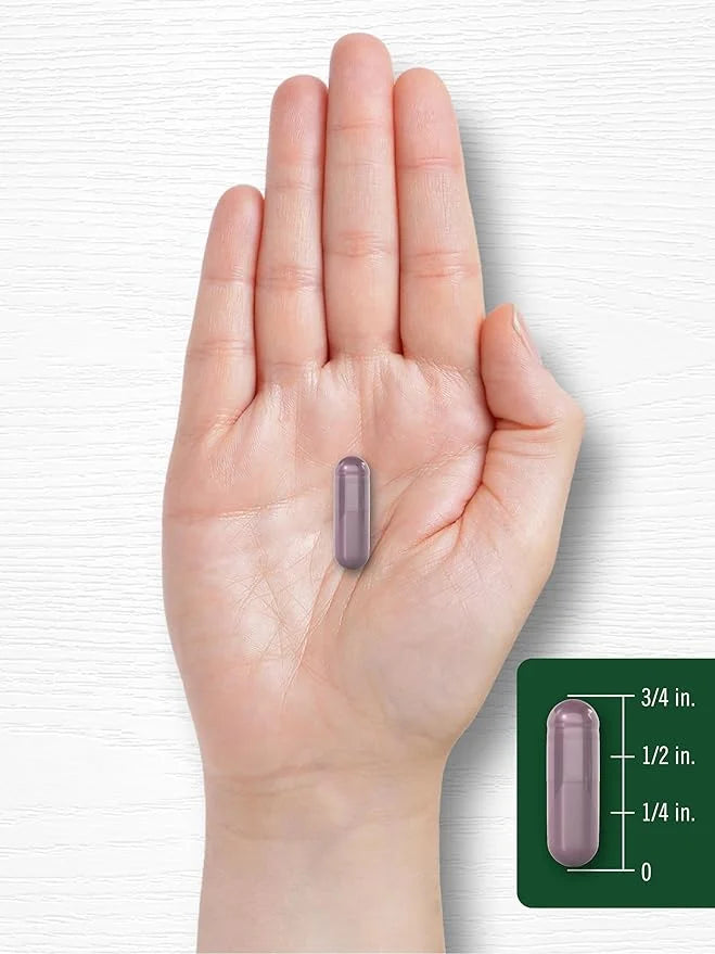 Carlyle Bilberry Extract Capsules 3600mg | 150 Count