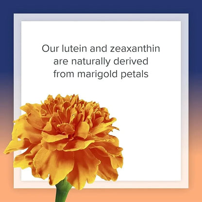 Natural Factors, Lutein 40 mg, Antioxidant 60 Softgels