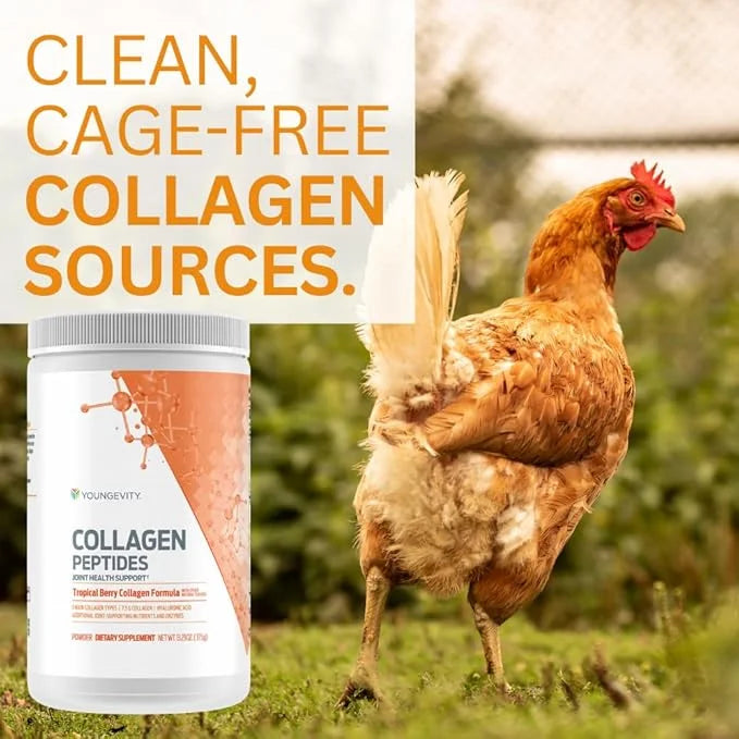 YoungevityCollagen Peptides - Joint Health Support
