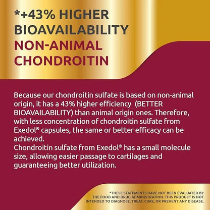 Chondroitin Glucosamine Capsules. Supports Joints and 120 Count