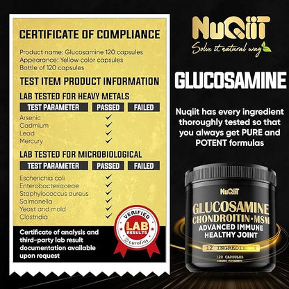 Glucosamine Chondroitin MSM with Immune & 2000mg - 120 Capsules