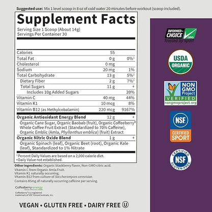 Garden of Life Sport Organic Plant 85mg Caffeine, B12, Vegan, 15.3 Oz