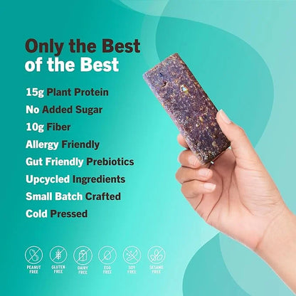 AMRITA Vegan Protein Bars Variety Pack (6 Flavors) 15g Plant