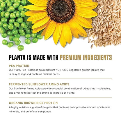 Ambrosia Planta - Premium Organic Plant-Based 25 Servings