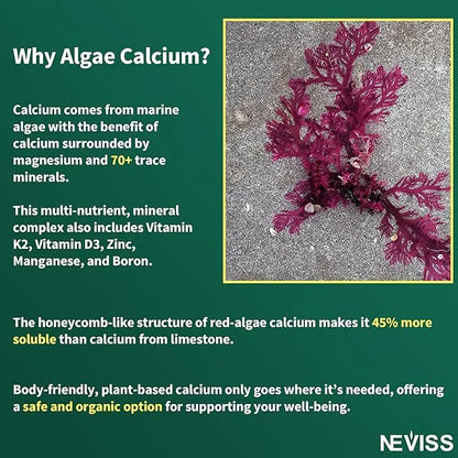 (2 Pack) Algae Calcium Gummies 600mg D3, C,