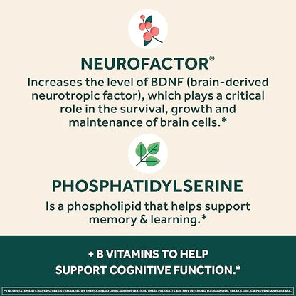 NEURIVA Plus Brain Supplement for Memory and Focus Clinically Tested Nootropics for Concentration for Mental Clarity, Cogn...