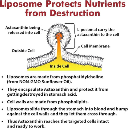 Liposomal 24mg Astaxanthin for MAX Absorption, 360 Softgels