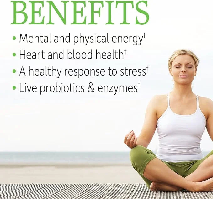 Garden of Life Vitamin B Complex 120 Vegan B6, Folate B12 as