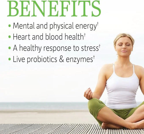 Garden of Life Vitamin B Complex 120 Vegan B6, Folate B12 as