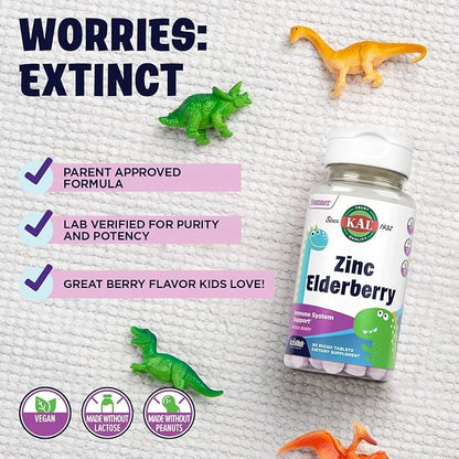 KAL Kids Zinc Elderberry Dinosaurs, Immune 90 Servings, 90 Micro
