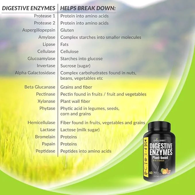 Digestive Enzymes for Men and Women 60 CT