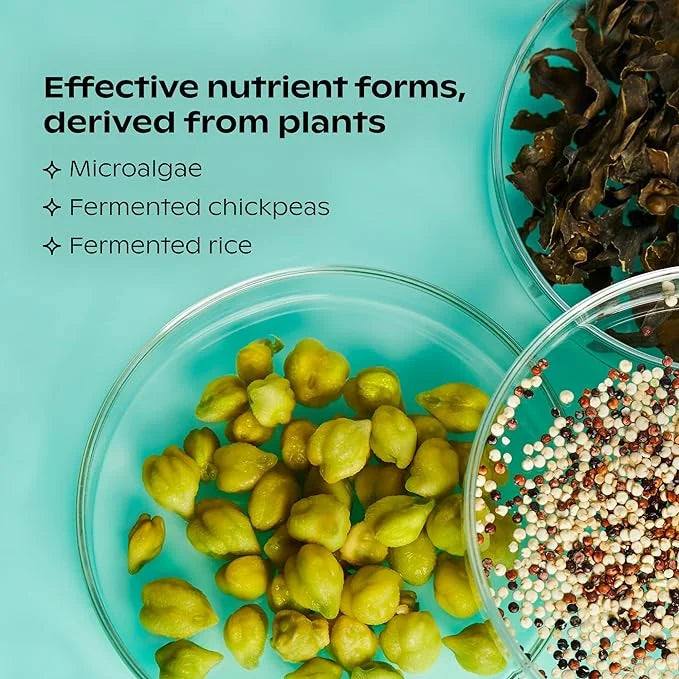 wholier Plant Based Multivitamin Vegan Omega-3 B12, Zinc, K2, Iron, 60 Count (30-Day Supply)