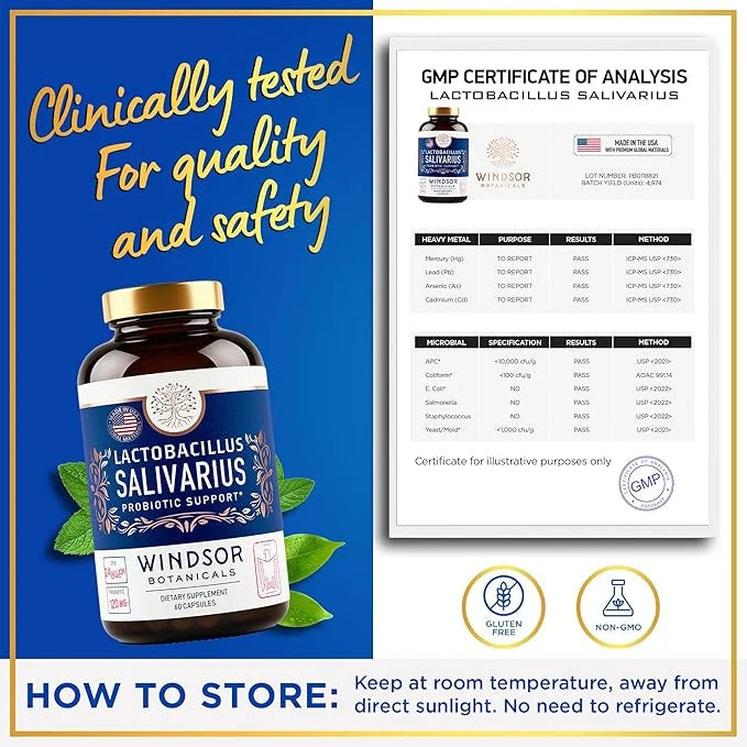 Lactobacillus Salivarius Probiotic Capsules 24bn CFU, 60 Caps