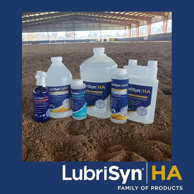 Lubrisyn HA with MSM - Proprietary Vegan Joint Relief Edible Supplement Made in USA for Humans - 30 Day Supply of Liquid H...