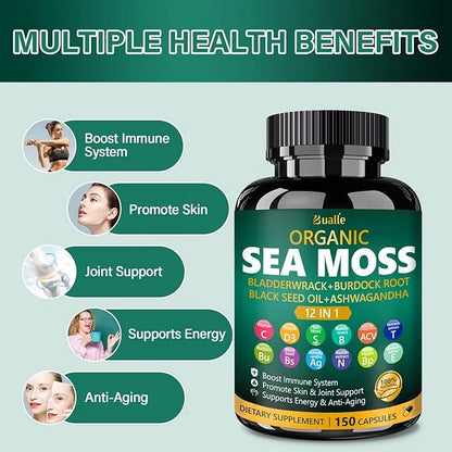 Organic Sea Moss Capsules with Sea Moss,Black Seed Oil,Ashwagandha,Bladderwrack,Ginger,Burdock Root for Immune System,Skin...