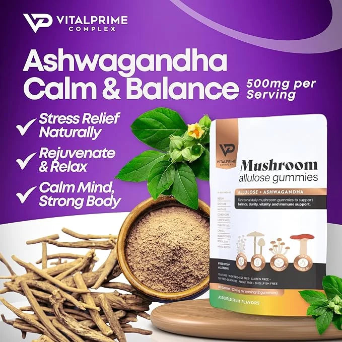 Sugar-Free Ashwagandha & Mushroom Gummies Supplement | 10 Functional Mushrooms per Serving | Immune Support, Focus, Energy...