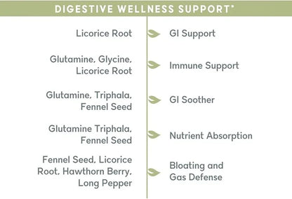 Balanced Vibe 7-in-1 Organic Gut Health Supplement | Digestive Support for Men, Women | After-Party Recovery | Helps Reduc...