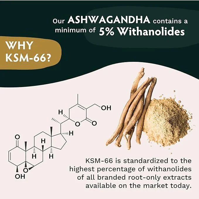 TRIBE ORGANICS Vegan Ashwagandha KSM 66 600mg of KSM66 for 90 Capsules