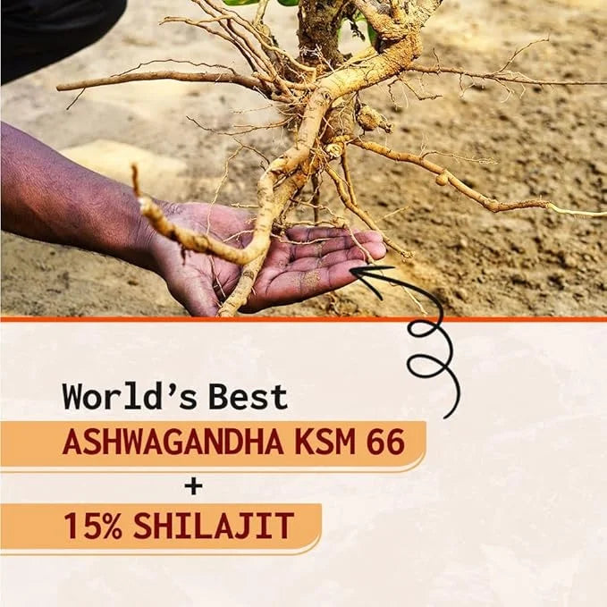 AyuZest Ashwagandha KSM-66 + Shilajit Capsules