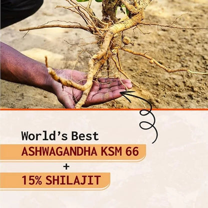 AyuZest Ashwagandha KSM-66 + Shilajit Capsules