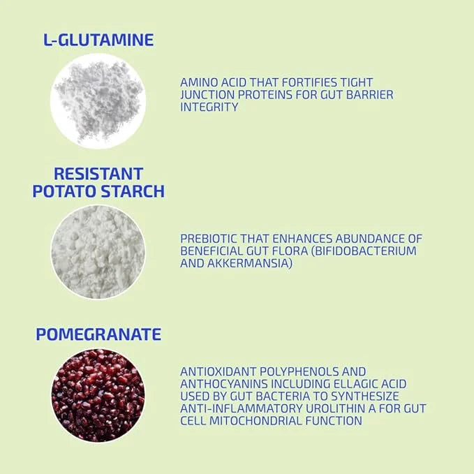 Codex Labs BIA GutBuilder – Supports Gut Health & Immunity - Fortifies Gut Microbiome & Skin Barrier with Prebiotics & Sup...