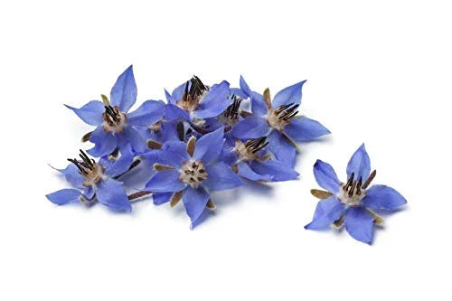 US Organic Borage seed Oil (18% GLA), USDA Certified Organic, 100% Pure & Natural, Cold Pressed, aka Starflower oil, in Am...