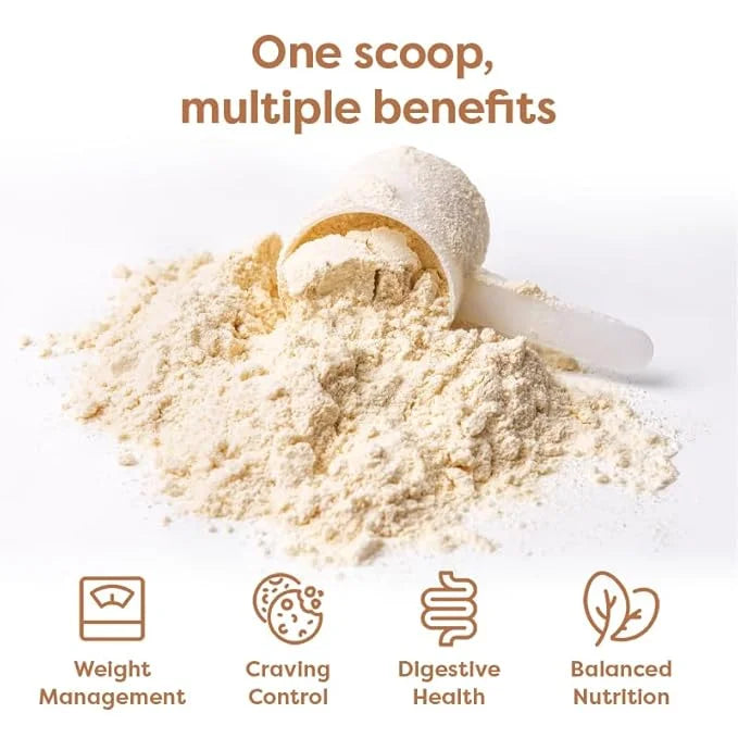 310 Nutrition All-In-One Meal Replacement Shake - Fiber-Rich Vegan Superfood Blend with Natural Sweeteners - Low Carb, Ket...