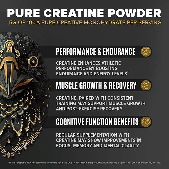 BIRDMAN Falcon Performance Vegan Protein Powder, 31g Protein, 5g Creatine, 5g BCAA, Probiotics, Electrolytes, Pre Workout,...