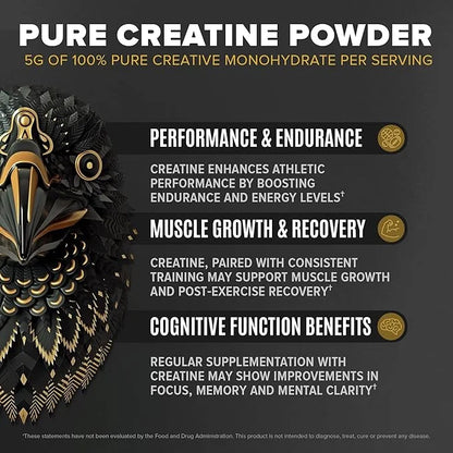 BIRDMAN Falcon Performance Vegan Protein Powder, 31g Protein, 5g Creatine, 5g BCAA, Probiotics, Electrolytes, Pre Workout,...