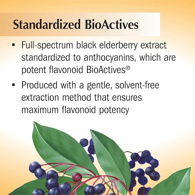 Nature's Way Sambucus Sugar-Free Elderberry Syrup, 8 Fl.