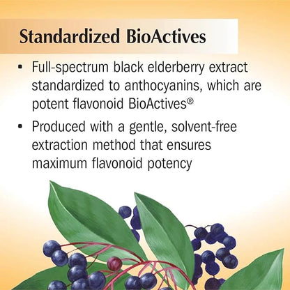 Nature's Way Sambucus Sugar-Free Elderberry Syrup, 8 Fl.
