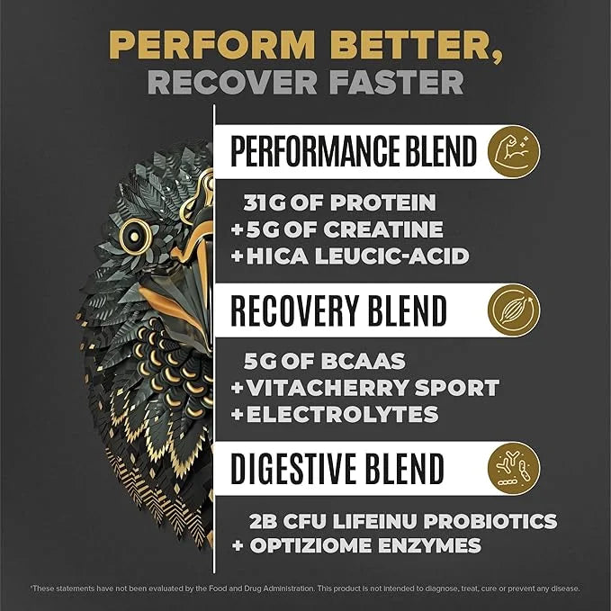 BIRDMAN Falcon Performance Vegan Protein Powder, 31g Protein, 5g Creatine, 5g BCAA, Probiotics, Electrolytes, Pre Workout,...