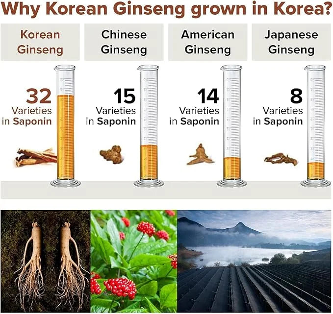 Korean Red Ginseng Capsules, Natural Energy Rg3 Premium