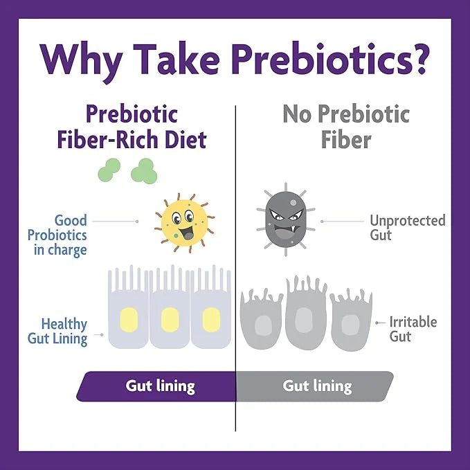 InnovixLabs Prebiotic Fiber Powder 30-Day Supply