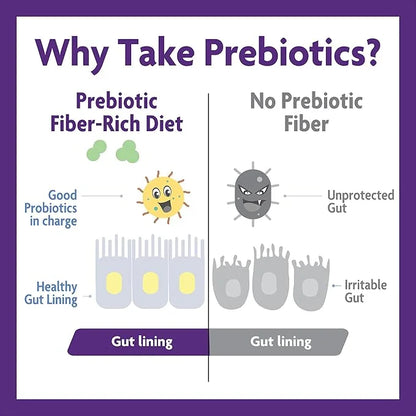 InnovixLabs Prebiotic Fiber Powder 30-Day Supply