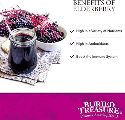 Buried Treasure Elderberry ACF with 4,000 16 oz