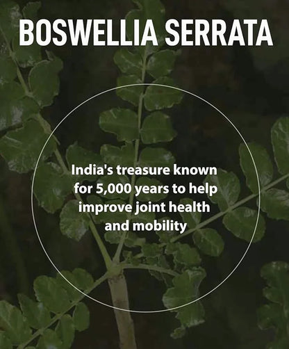 for Joints Health and Cartilage, Boswellia, 1,000mg of 71mg of (60 Tablets)