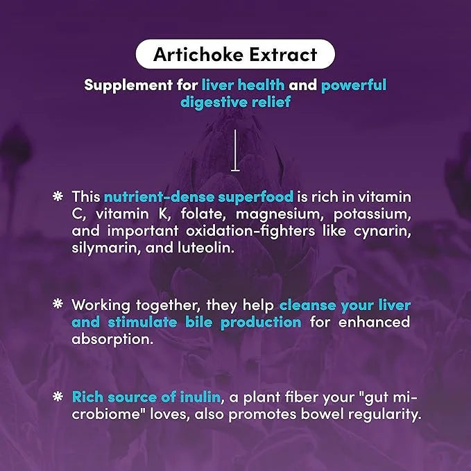 Herbal Artichoke Supplement 500 mg 90 Capsules