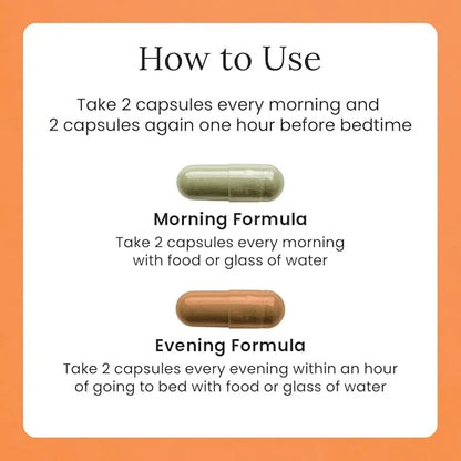 Gulp Core Essentials AM PM Multivitamin 3, Probiotics, 60 Servings, 2 Month