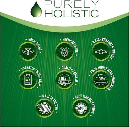 Purely Holistic CoQ10 100mg 240 SoftGels 8 Month Q10 Supplement 10 -
