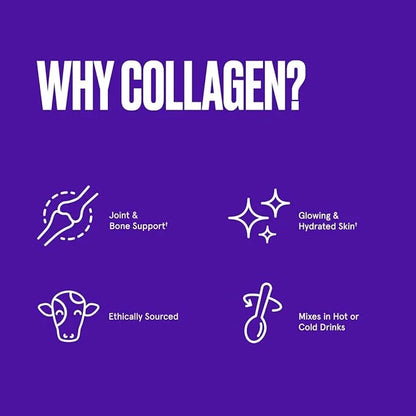 Bulletproof Chocolate Collagen Protein Powder 19g Protein, 42.3 Oz,