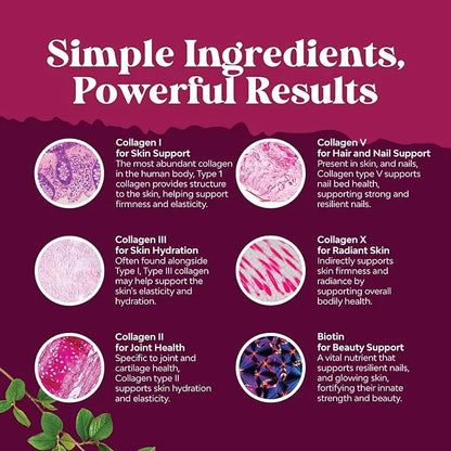 Advanced Multi Collagen Complex - Ageless Multi Collagen Peptides Supplements with Type 1 2 3 5 & X & Biotin for Hair, Ski...