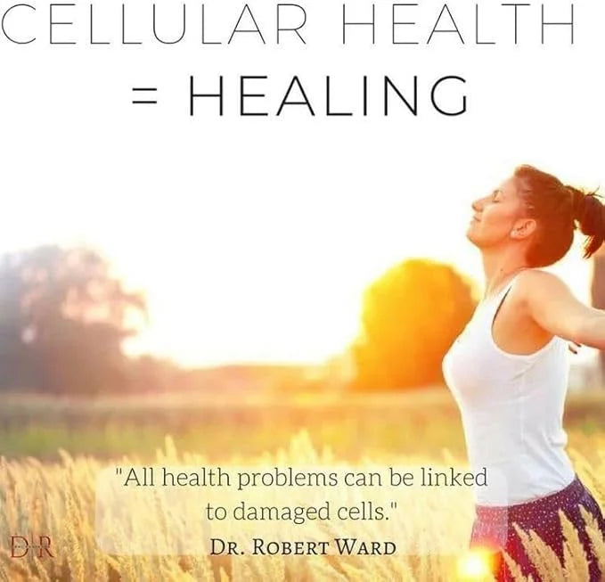 Flamasil™- for Healthy Inflammation Response* | Multi-Herbal Pain Reliever* and Joint Aid | Bio-Enhanced Turmeric, Boswell...