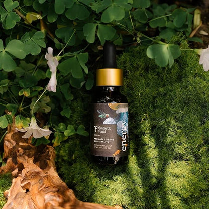 Energy Elixir | Organic Cordyceps and